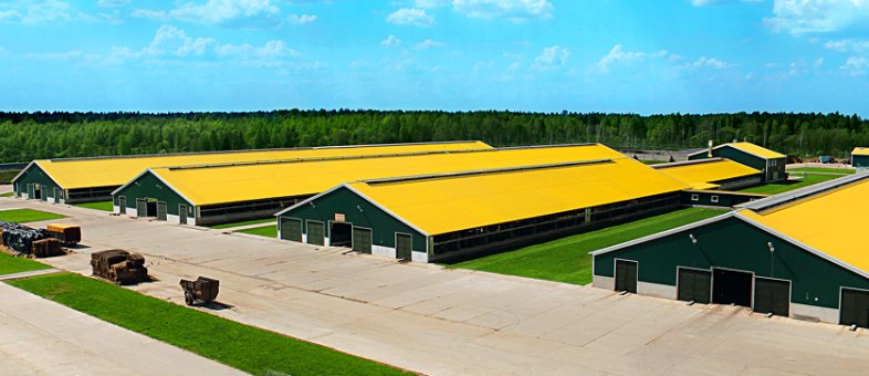 Молочная ферма «Дмитрова гора» (Тверская обл.) 